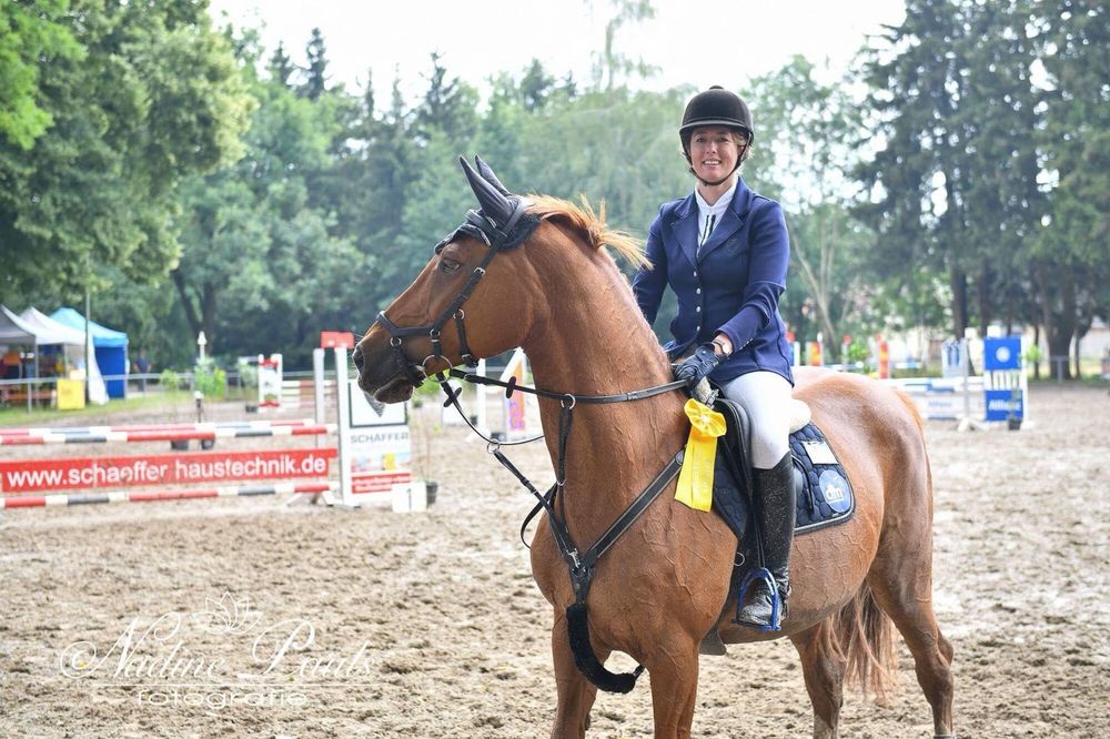 Pferdesport im Reitpark Mergenthau